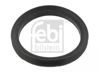 03993 FEBI BILSTEIN Уплотнительное кольцо, втулка рессоры (серьга рессоры) 03993 FEBI BILSTEIN Уплотнительное кольцо, втулка рессоры (серьга рессоры)