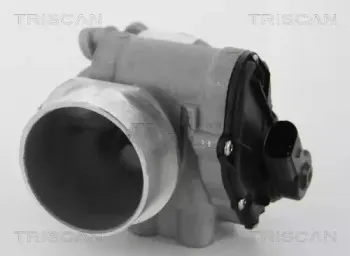 8813 10012 TRISCAN Клапан возврата ОГ 8813 10012 TRISCAN Клапан возврата ОГ