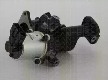 8813 24101 TRISCAN Клапан возврата ОГ 8813 24101 TRISCAN Клапан возврата ОГ