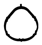 698.450 ELRING Прокладка, впускной коллектор 698.450 ELRING Прокладка, впускной коллектор