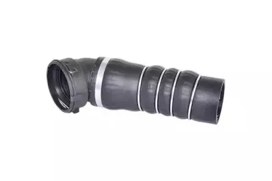 84631 BUGIAD Трубка нагнетаемого воздуха 84631 BUGIAD Трубка нагнетаемого воздуха