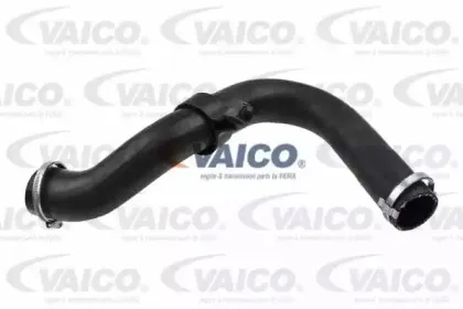 V25-1021 VAICO Трубка нагнетаемого воздуха V25-1021 VAICO Трубка нагнетаемого воздуха