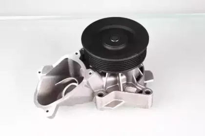P487 HEPU Водяной насос P487 HEPU Водяной насос