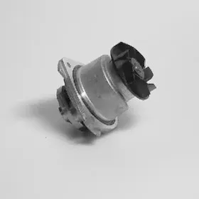 P525 HEPU Водяной насос P525 HEPU Водяной насос