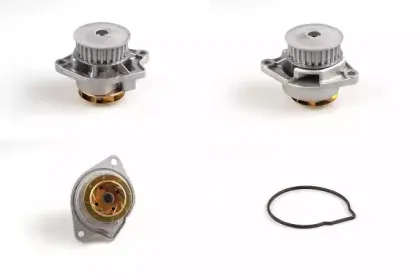 P541 HEPU Водяной насос P541 HEPU Водяной насос