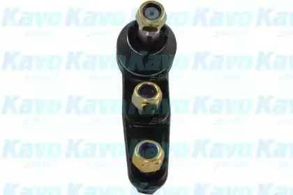 SBJ-1001 KAVO PARTS Несущий / направляющий шарнир SBJ-1001 KAVO PARTS Несущий / направляющий шарнир
