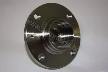 110029310 AUTOMEGA Ступица колеса 110029310 AUTOMEGA Ступица колеса