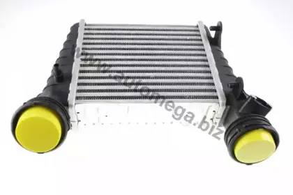 160060510 AUTOMEGA Интеркулер 160060510 AUTOMEGA Интеркулер