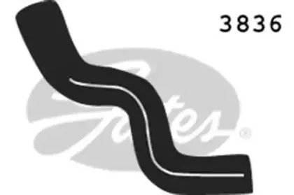 3836 GATES Шланг радиатора 3836 GATES Шланг радиатора