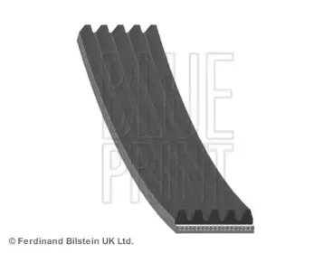 AD05R1794 BLUE PRINT Поликлиновой ремень AD05R1794 BLUE PRINT Поликлиновой ремень