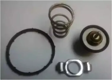 724-95 MOTORAD Термостат, охлаждающая жидкость 724-95 MOTORAD Термостат, охлаждающая жидкость