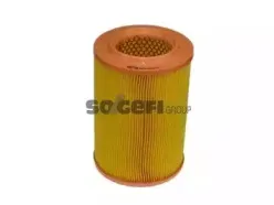 A210 PURFLUX Воздушный фильтр A210 PURFLUX Воздушный фильтр