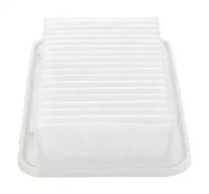 CAF100813P CHAMPION Воздушный фильтр CAF100813P CHAMPION Воздушный фильтр