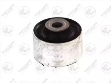 FZ9616 FORTUNE LINE Подвеска, рычаг независимой подвески колеса FZ9616 FORTUNE LINE Подвеска, рычаг независимой подвески колеса