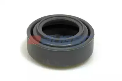 55369 AUGER Пыльник, управление корпуса скобы тормоза 55369 AUGER Пыльник, управление корпуса скобы тормоза