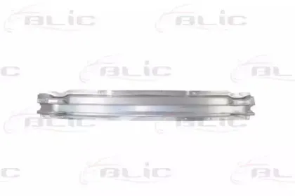 5502-00-0019980P BLIC Носитель, буфер 5502-00-0019980P BLIC Носитель, буфер