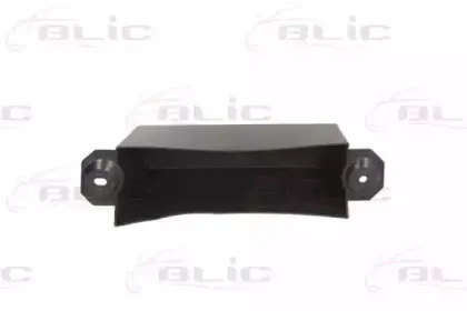5502-00-1303982P BLIC Носитель, буфер 5502-00-1303982P BLIC Носитель, буфер