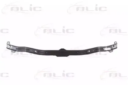 5502-00-1670941P BLIC Носитель, буфер 5502-00-1670941P BLIC Носитель, буфер