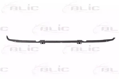 5502-00-2026940P BLIC Носитель, буфер 5502-00-2026940P BLIC Носитель, буфер