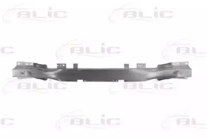 5502-00-5052980P BLIC Носитель, буфер 5502-00-5052980P BLIC Носитель, буфер