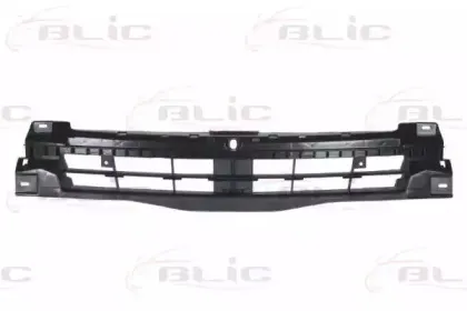 5502-00-5089942P BLIC Носитель, буфер 5502-00-5089942P BLIC Носитель, буфер
