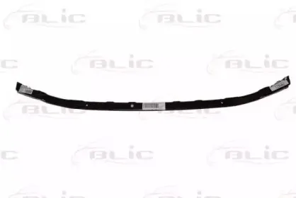 5502-00-6032940P BLIC Носитель, буфер 5502-00-6032940P BLIC Носитель, буфер
