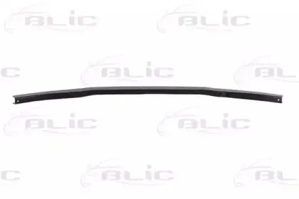 5502-00-9540941P BLIC Носитель, буфер 5502-00-9540941P BLIC Носитель, буфер