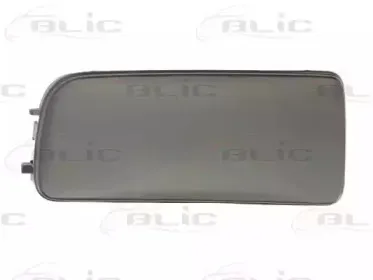 5513-00-0060925P BLIC Покрытие, фара 5513-00-0060925P BLIC Покрытие, фара