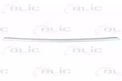 5513000063927P BLIC Облицовка / защитная накладка, буфер 5513000063927P BLIC Облицовка / защитная накладка, буфер