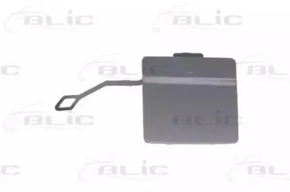 5513000063971P BLIC Облицовка / защитная накладка, буфер 5513000063971P BLIC Облицовка / защитная накладка, буфер