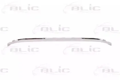 5513-00-5537920P BLIC Облицовка / защитная накладка, буфер 5513-00-5537920P BLIC Облицовка / защитная накладка, буфер