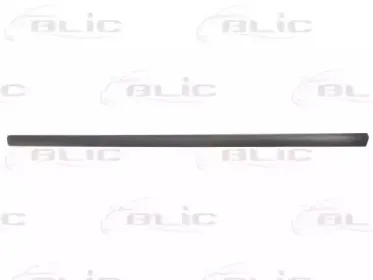 5703-04-0019571P BLIC Облицовка / защитная накладка, дверь 5703-04-0019571P BLIC Облицовка / защитная накладка, дверь