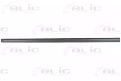 5703-04-0019575P BLIC Облицовка / защитная накладка, дверь 5703-04-0019575P BLIC Облицовка / защитная накладка, дверь