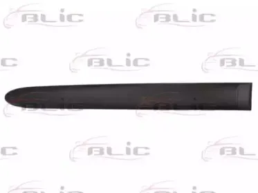 5703-04-0536573P BLIC Облицовка / защитная накладка, дверь 5703-04-0536573P BLIC Облицовка / защитная накладка, дверь