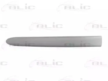 5703-04-0536576P BLIC Облицовка / защитная накладка, дверь 5703-04-0536576P BLIC Облицовка / защитная накладка, дверь