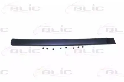 5703-04-0550572P BLIC Облицовка / защитная накладка, дверь 5703-04-0550572P BLIC Облицовка / защитная накладка, дверь