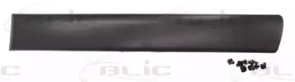 5703-04-0550573P BLIC Облицовка / защитная накладка, дверь 5703-04-0550573P BLIC Облицовка / защитная накладка, дверь