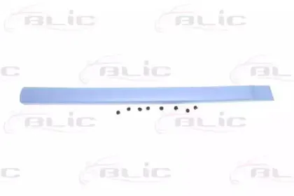 5703-04-0550576P BLIC Облицовка / защитная накладка, дверь 5703-04-0550576P BLIC Облицовка / защитная накладка, дверь