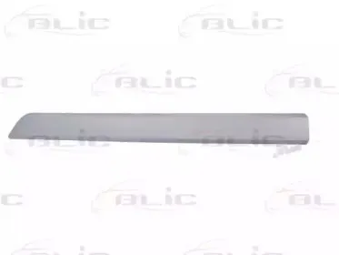 5703-04-0553576P BLIC Облицовка / защитная накладка, дверь 5703-04-0553576P BLIC Облицовка / защитная накладка, дверь