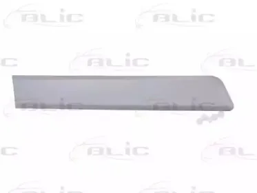 5703-04-0553578P BLIC Облицовка / защитная накладка, дверь 5703-04-0553578P BLIC Облицовка / защитная накладка, дверь