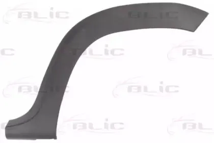 5703-04-1305595P BLIC Облицовка / защитная накладка, крыло 5703-04-1305595P BLIC Облицовка / защитная накладка, крыло