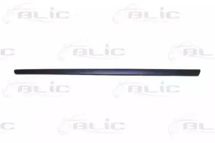 5703-04-2013571P BLIC Облицовка / защитная накладка, дверь 5703-04-2013571P BLIC Облицовка / защитная накладка, дверь