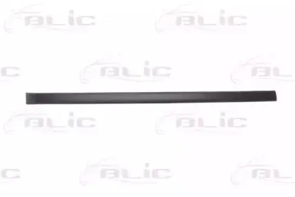 5703-04-2022571PP BLIC Облицовка / защитная накладка, дверь 5703-04-2022571PP BLIC Облицовка / защитная накладка, дверь