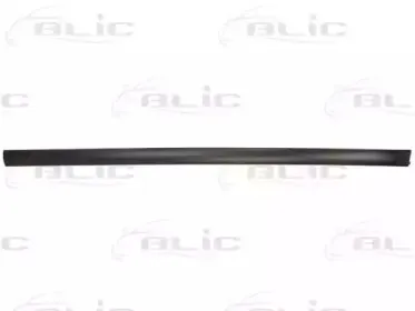 5703-04-2022572P BLIC Облицовка / защитная накладка, дверь 5703-04-2022572P BLIC Облицовка / защитная накладка, дверь