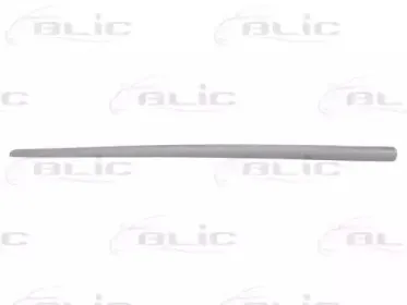 5703-04-2023576PP BLIC Облицовка / защитная накладка, дверь 5703-04-2023576PP BLIC Облицовка / защитная накладка, дверь
