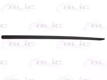 5703-04-2024571P BLIC Облицовка / защитная накладка, дверь 5703-04-2024571P BLIC Облицовка / защитная накладка, дверь