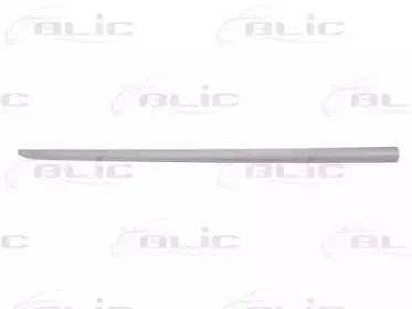 5703-04-2024576P BLIC Облицовка / защитная накладка, дверь 5703-04-2024576P BLIC Облицовка / защитная накладка, дверь