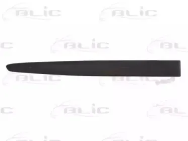 5703-04-2027574P BLIC Облицовка / защитная накладка, дверь 5703-04-2027574P BLIC Облицовка / защитная накладка, дверь