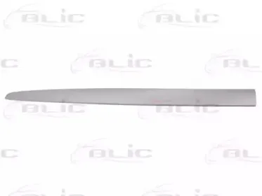 5703-04-2027575PP BLIC Облицовка / защитная накладка, дверь 5703-04-2027575PP BLIC Облицовка / защитная накладка, дверь