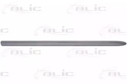 5703-04-2031572P BLIC Облицовка / защитная накладка, дверь 5703-04-2031572P BLIC Облицовка / защитная накладка, дверь